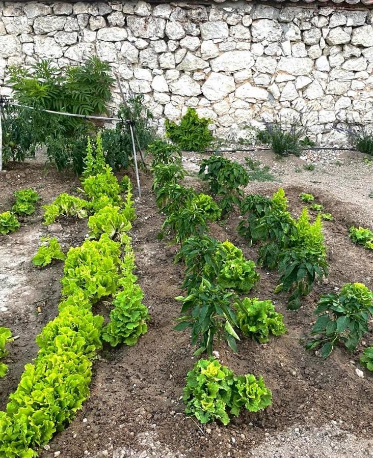 Alojamiento Gaia Aldeasona المظهر الخارجي الصورة